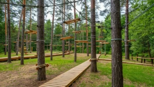 Школьным классом в веревочный парк